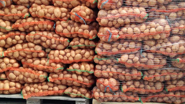 ANSA a returnat un lot de 21 de tone de cartofi