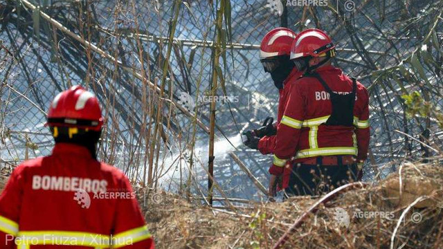 Portugalia - Un pompier a murit și alți trei au fost răniți într-un incendiu de vegetație