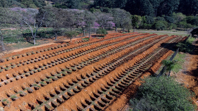 IMAGINI impresionante cu sutele de morminte ale morților de COVID din Brazilia. Țara a ajuns la un bilanț zilnic înspăimântător