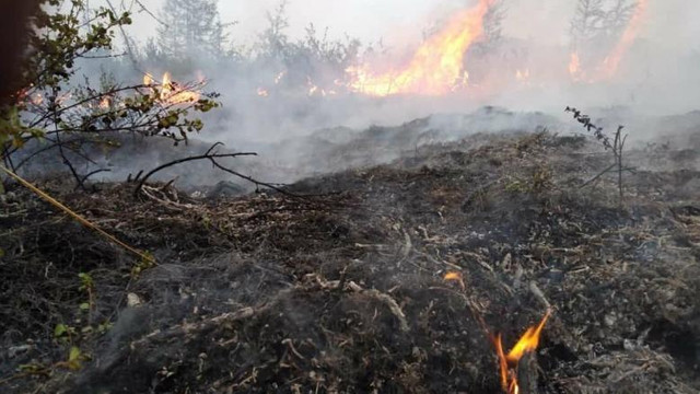 Valuri de fum toxic se îndreaptă spre un oraș din Siberia, regiune afectată de incendii de vegetație