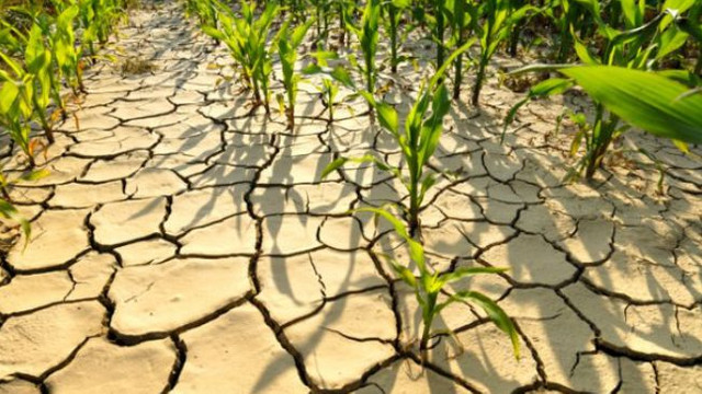 PDM, PSRM, PAS și Platforma  DA au venit cu câteva soluții pentru agricultori, în contextul condițiilor climaterice din acest an. Care sunt acestea