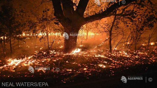 Stare de urgență în statul american California, din cauza incendiilor de vegetație