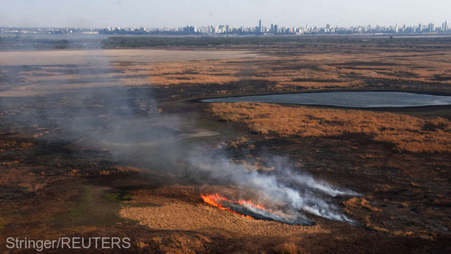 Peste 175.000 de hectare de vegetație, cuprinse de flăcări în Argentina