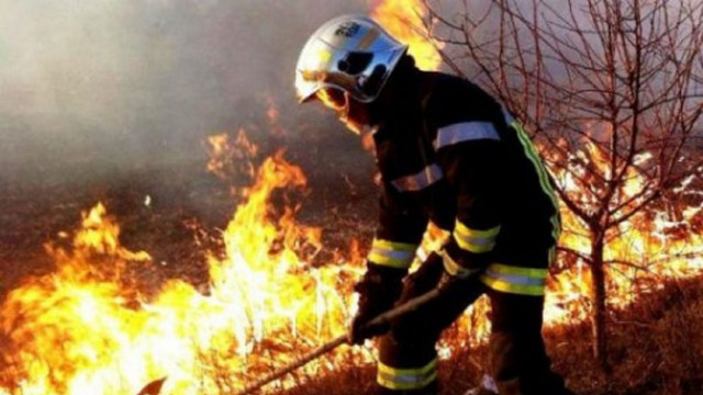 Pompierii au intervenit pentru a stinge zeci de focare de ardere
