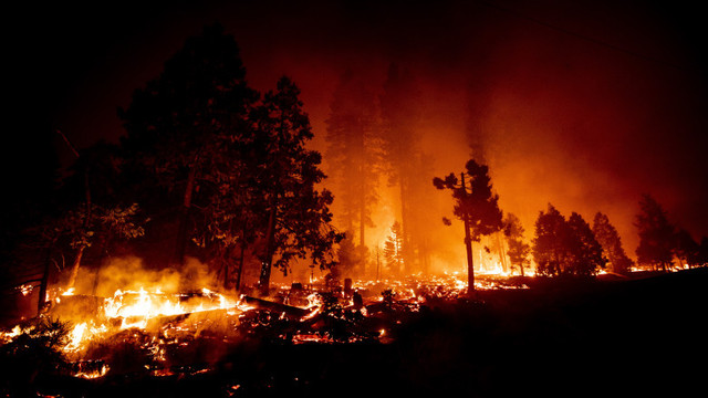 Incendiile din California au distrus o suprafață de 80 de ori mai mare decât cea a Parisului: 