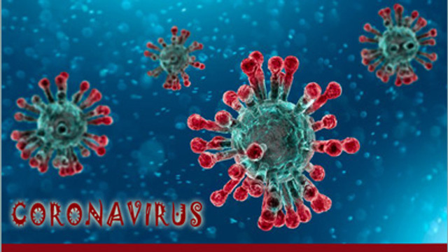 Șase luni de când OMS a declarat pandemia de coronavirus: 27 de milioane de cazuri confirmate și aproape un milion de morți
