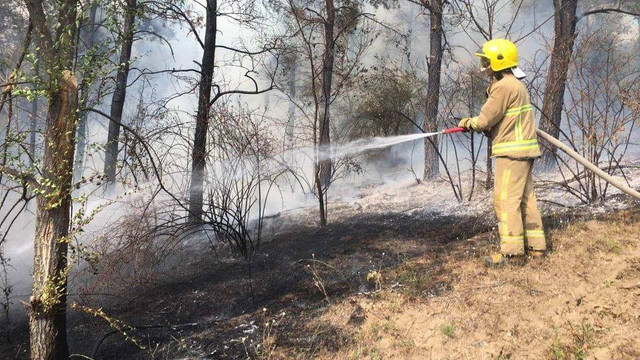 FOTO | Incendiu de vegetație în raionul Strășeni. Flăcările au cuprins peste 100 de hectare de teren