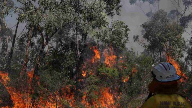 Australia - Un plan bazat pe tehnologie de ultimă oră își propune să stingă incendiile de vegetație în o oră de la izbucnire