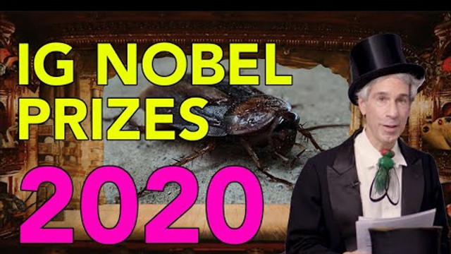 Lista premiilor Ig Nobel acordate anul acesta: de la studiul în care s-a administrat heliu unui aligator la studiu despre sprâncenele narcisiștilor