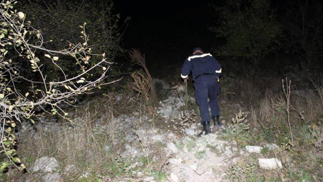 Minora rătăcită într-o pădure din Șoldănești a fost găsită