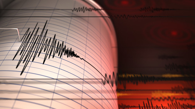 Un cutremur cu magnitudinea 3,1 s-a produs în Vrancea