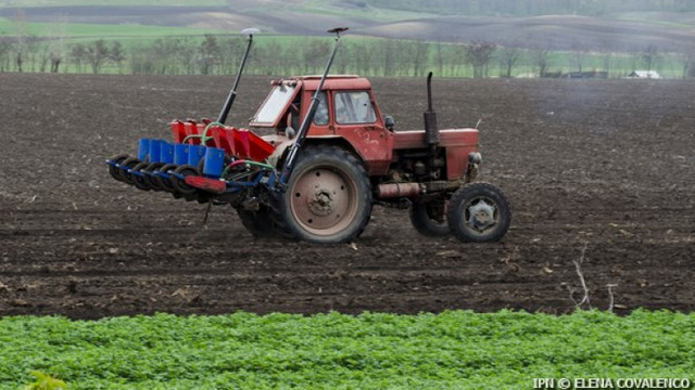 Ucraina: 400.000 de hectare însămânțate cu culturi de primăvară până acum, cu 10% mai mult decât în aceeași perioadă a anului trecut