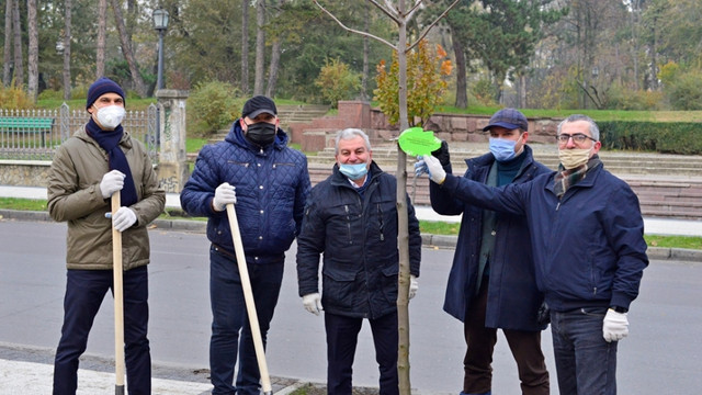 Primăria Chișinău în comun cu reprezentanții misiunilor diplomatice și pretorii de sector, au plantat arbori în centrul orașului