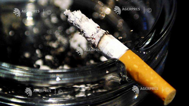 Statele Unite încearcă să reducă drastic conținutul de nicotină din țigări, pentru a nu mai crea dependență

