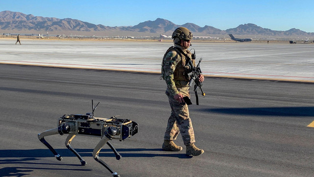 Bazele militare ale SUA vor fi păzite de câini-roboți