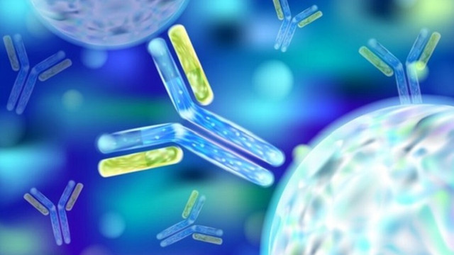 Ingineria anticorpilor umani: Necesitatea de a-i dezvolta pentru combaterea amenințărilor virale (Sanatateinfo)

