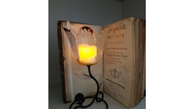 Biblioteca Națională a inaugurat o expoziție cu genericul ”De la torță la lampă”
