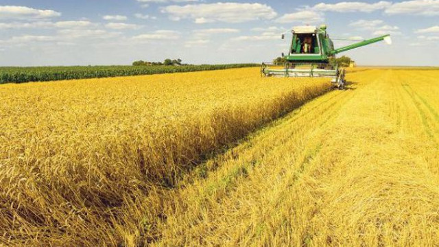 Agricultură | Gerurile din ultimele zile nu au afectat culturile de toamnă, însă lipsa precipitațiilor în următoarele luni ar putea afecta recolta de cereale din acest an