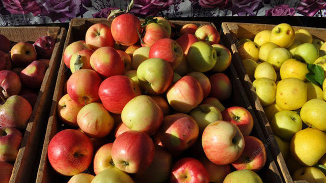 Circa două sute de tone de mere și prune au fost întoarse anul trecut din Federația Rusă