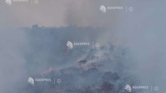 Specii amenințate, în pericol din cauza unui incendiu de vegetație activ în Australia de Sud