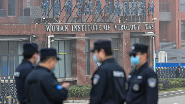 În decembrie 2019, în Wuhan erau 13 tulpini ale virusului. Dezvăluirile unui expert din misiunea OMS demontează teoriile existente