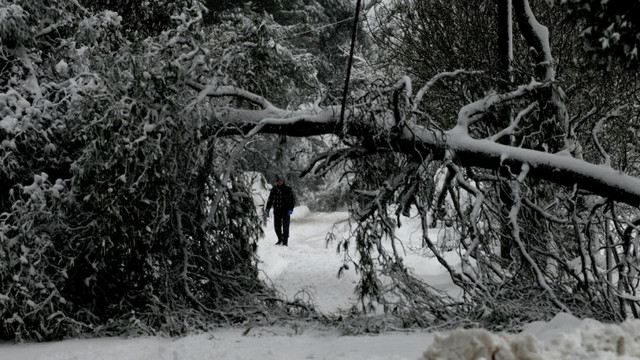 Grecia, lovită de cel mai puternic episod de iarnă din ultimii ani. Ninsori abundente și la Istanbul