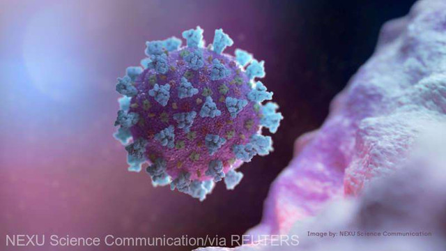 Coronavirus: Ozonul poate fi utilizat pentru dezinfectarea suprafețelor contaminate (studiu)