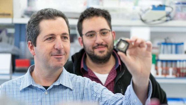 Israel: Cercetătorii au dezvoltat o platformă pe baza cipurilor bionice pentru testarea eficacității medicamentelor