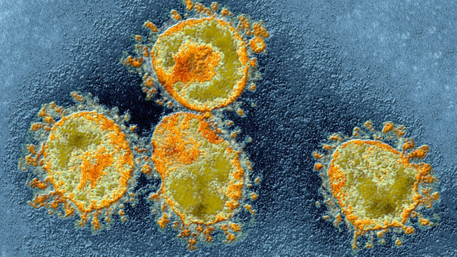 Africa de Sud detectează o nouă variantă de coronavirus cu mutații multiple