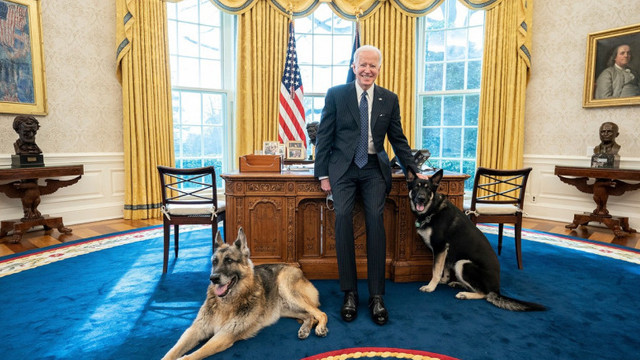 Câinele lui Joe Biden a mușcat din nou la Casa Albă
