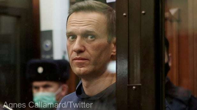 Amnesty International afirmă că este posibil ca autoritățile ruse să îl ucidă lent pe opozantul Navalnîi