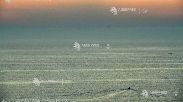 Rusia trimite nave de război pentru manevre în Marea Neagră, pe fondul tensiunilor din estul Ucrainei