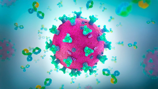 De ce nu au mai apărut noi variante ale coronavirusului? Specialiștii din Franța explică fenomenul, dar au și un avertisment
