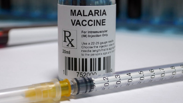 OMS: 650.000 de copii din Africa au primit primul vaccin împotriva malariei. Boala ucide 400.000 de oameni pe an
