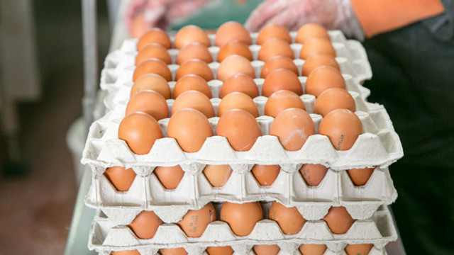 R. Moldova, mai aproape de a exporta carne și ouă de pasăre în Uniunea Europeană