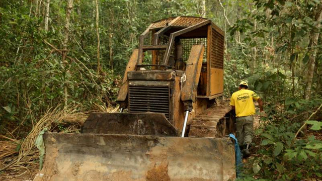 Defrișările în pădurea tropicală amazoniană din Brazilia, în creștere pentru a doua lună consecutiv