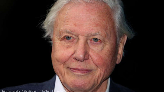 Marea Britanie | David Attenborough, desemnat Avocatul Poporului la COP26 înaintea summitului privind schimbările climatice
