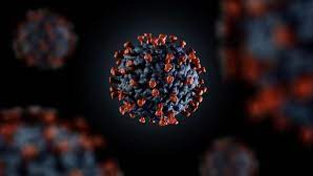Un medicament utilizat împotriva virusului hepatitei C poate suprima replicarea SARS-CoV-2, atacând două proteine ale acestuia (studiu)