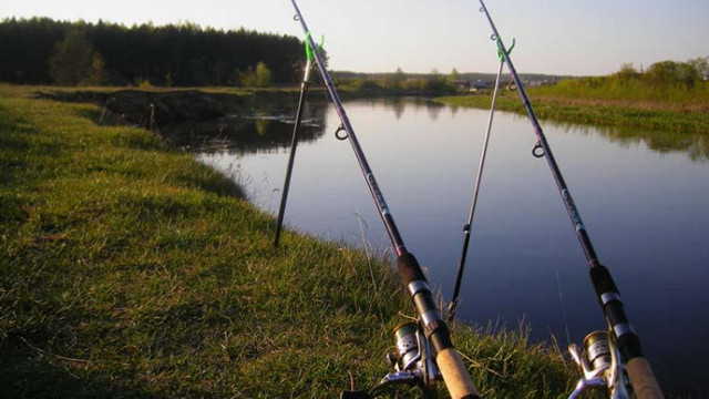 Din 16 mai este permis pescuitul scrumbiei de Dunăre. Nu în toate bazinele acvatice
