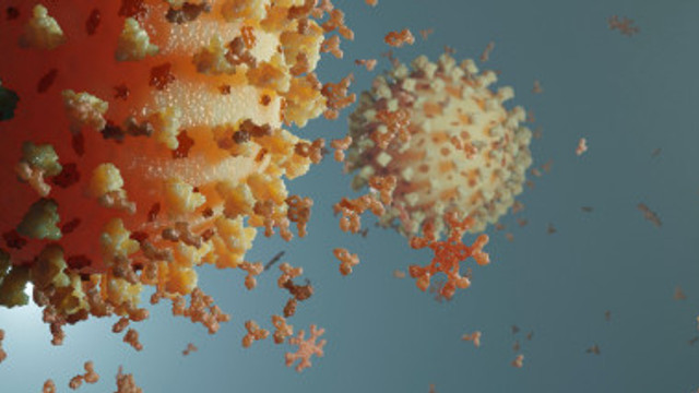 Varianta indiană de coronavirus ar putea deveni dominantă în Marea Britanie, a recunoscut ministrul britanic al sănătății