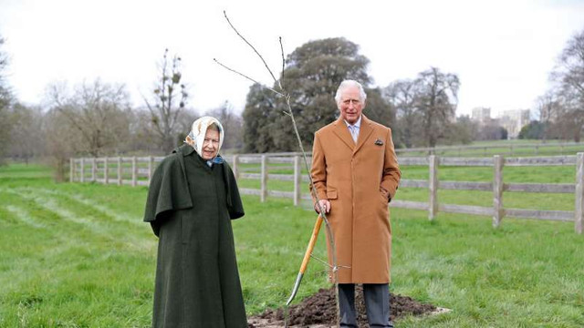 Britanicii, invitați să planteze copaci pentru jubileul de platină al reginei Elisabetei a II-a