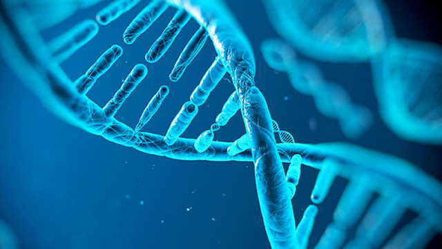 ADN-ul descoperit în rămășițele unei adolescente dezvăluie existența unui grup de oameni necunoscut anterior

