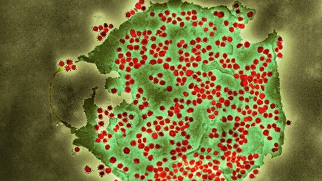 Autoritățile suedeze, îngrijorate de varianta Delta a coronavirusului