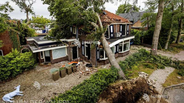 O furtună puternică a distrus locuințe și a doborât copaci seculari în Olanda