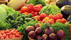 Ministerul Agriculturii s-a autosesizat în legătură cu interzicerea parțială de către Rusia a importului de produse vegetale din Republica Moldova 