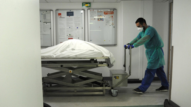 OMS: Pandemia de COVID-19 a provocat peste 4 milioane de decese