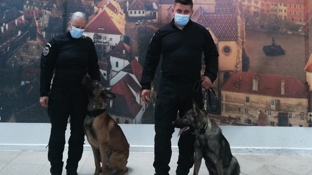 Aeroportul din Sibiu, România: Câini dresați special pentru controlul anti-COVID