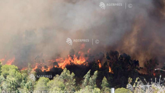 Un incendiu de vegetație din Franța a provocat pene de curent în Spania și Portugalia