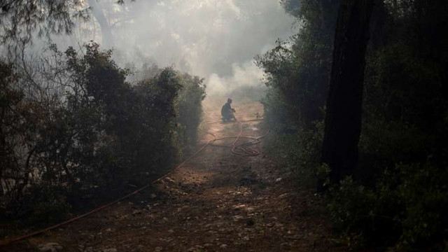 Grecia | Un incendiu de pădure amenință mai multe locuințe din apropiere de Atena