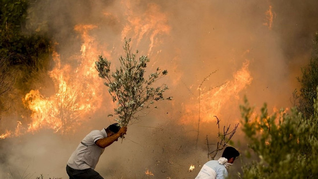 Incendiile din Italia fac victime printre turiști. Cel puțin cinci persoane au fost rănite iar un copil a ajuns la spital